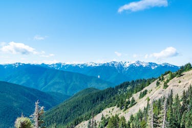 Olympic National Park full-day tour from Seattle